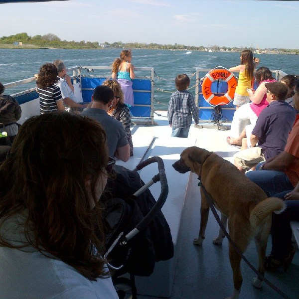 Group on the boat