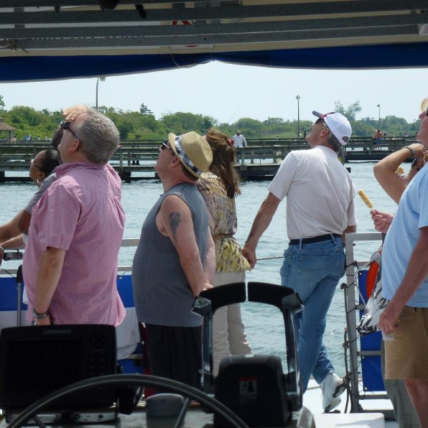Group looking at sky
